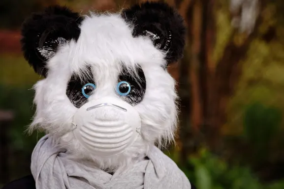 Casino Hot Line Ënnerstëtzung